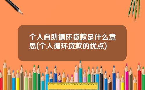 个人自助循环贷款是什么意思(个人循环贷款的优点)