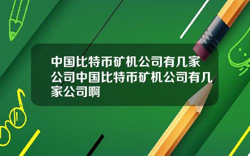 中国比特币矿机公司有几家公司中国比特币矿机公司有几家公司啊