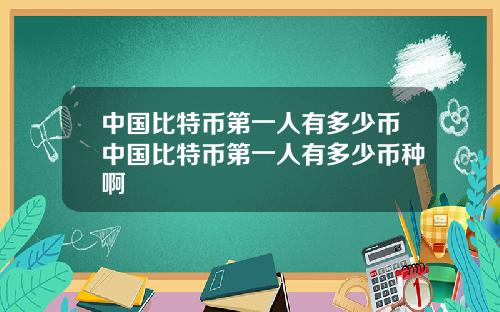 中国比特币第一人有多少币中国比特币第一人有多少币种啊