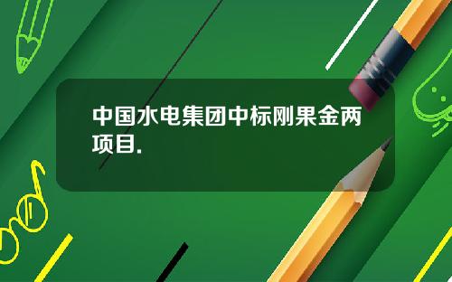 中国水电集团中标刚果金两项目.
