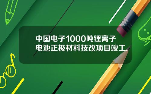 中国电子1000吨锂离子电池正极材料技改项目竣工.