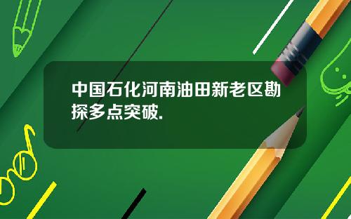 中国石化河南油田新老区勘探多点突破.