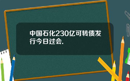 中国石化230亿可转债发行今日过会.