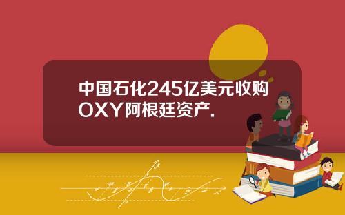 中国石化245亿美元收购OXY阿根廷资产.