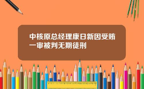 中核原总经理康日新因受贿一审被判无期徒刑