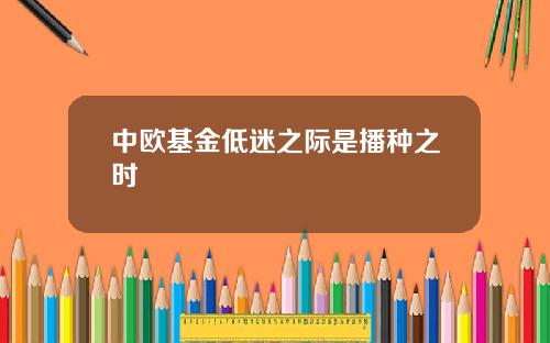 中欧基金低迷之际是播种之时