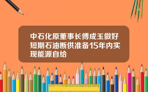 中石化原董事长傅成玉做好短期石油断供准备15年内实现能源自给