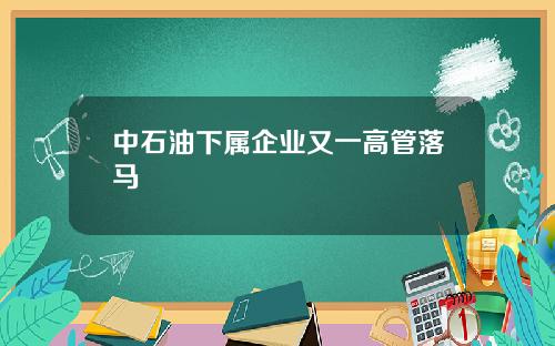 中石油下属企业又一高管落马