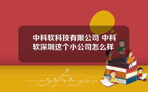 中科软科技有限公司 中科软深圳这个小公司怎么样