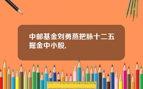 中邮基金刘勇燕把脉十二五掘金中小股.