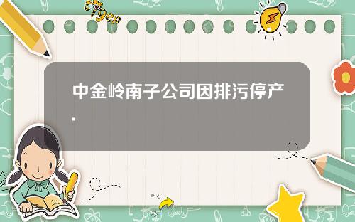 中金岭南子公司因排污停产.