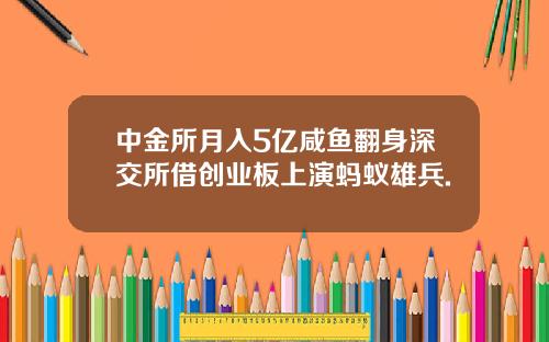 中金所月入5亿咸鱼翻身深交所借创业板上演蚂蚁雄兵.