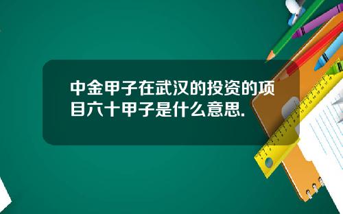 中金甲子在武汉的投资的项目六十甲子是什么意思.