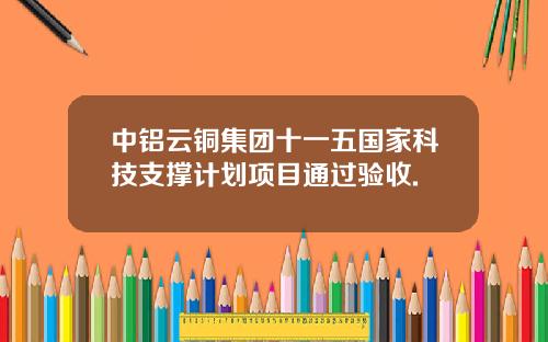 中铝云铜集团十一五国家科技支撑计划项目通过验收.