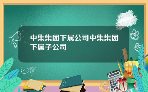 中集集团下属公司中集集团下属子公司