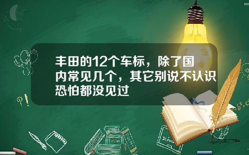 丰田的12个车标，除了国内常见几个，其它别说不认识恐怕都没见过