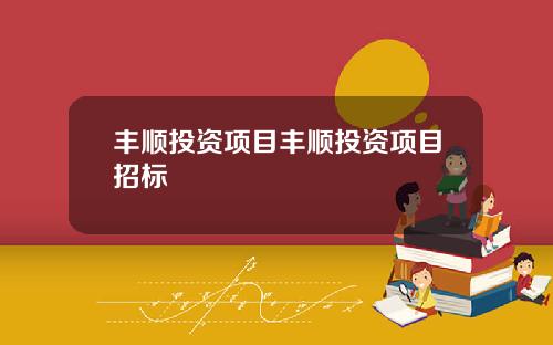 丰顺投资项目丰顺投资项目招标
