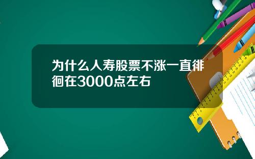 为什么人寿股票不涨一直徘徊在3000点左右