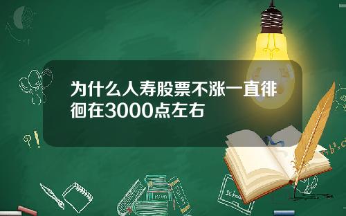 为什么人寿股票不涨一直徘徊在3000点左右