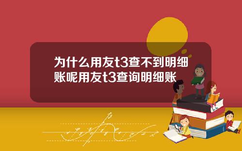 为什么用友t3查不到明细账呢用友t3查询明细账
