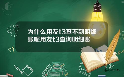 为什么用友t3查不到明细账呢用友t3查询明细账