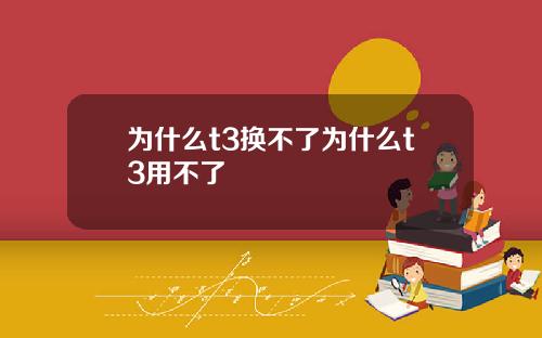 为什么t3换不了为什么t3用不了