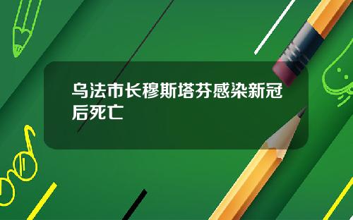 乌法市长穆斯塔芬感染新冠后死亡