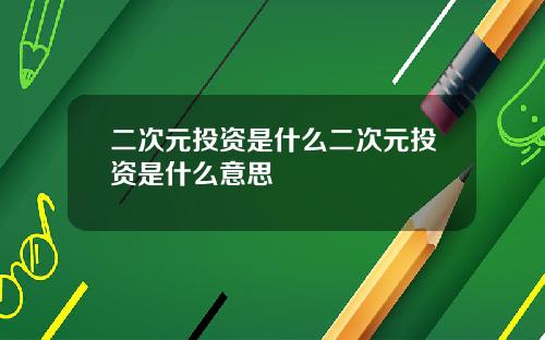 二次元投资是什么二次元投资是什么意思