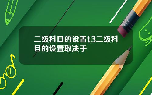 二级科目的设置t3二级科目的设置取决于
