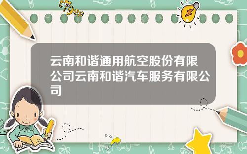 云南和谐通用航空股份有限公司云南和谐汽车服务有限公司