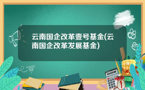 云南国企改革壹号基金(云南国企改革发展基金)