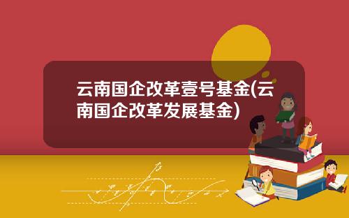 云南国企改革壹号基金(云南国企改革发展基金)