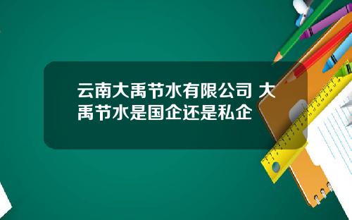 云南大禹节水有限公司 大禹节水是国企还是私企
