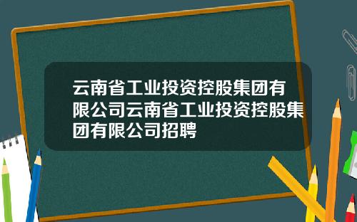 云南省工业投资控股集团有限公司云南省工业投资控股集团有限公司招聘