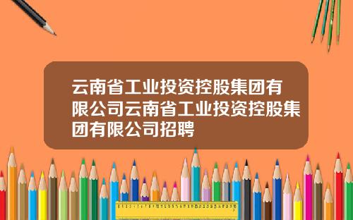 云南省工业投资控股集团有限公司云南省工业投资控股集团有限公司招聘