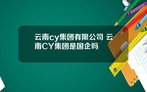 云南cy集团有限公司 云南CY集团是国企吗