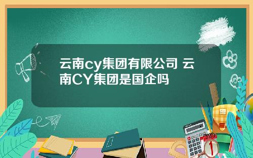 云南cy集团有限公司 云南CY集团是国企吗