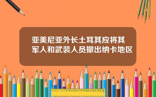 亚美尼亚外长土耳其应将其军人和武装人员撤出纳卡地区