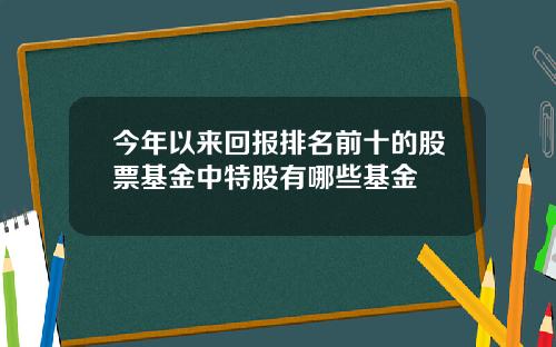 今年以来回报排名前十的股票基金中特股有哪些基金