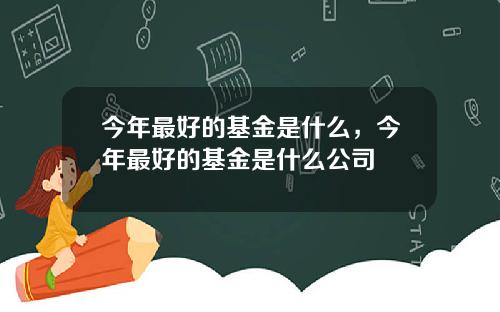 今年最好的基金是什么，今年最好的基金是什么公司