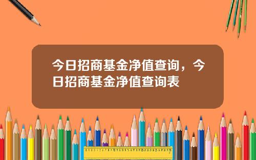 今日招商基金净值查询，今日招商基金净值查询表