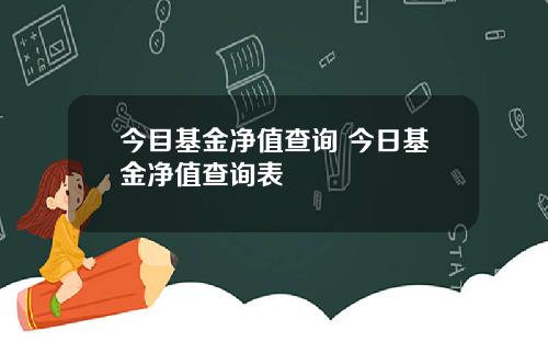 今目基金净值查询 今日基金净值查询表