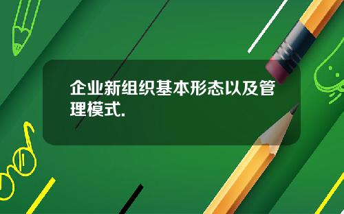 企业新组织基本形态以及管理模式.