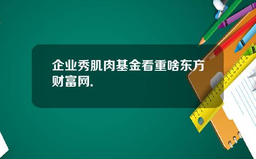 企业秀肌肉基金看重啥东方财富网.
