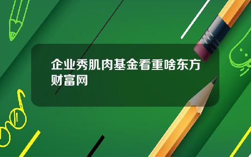 企业秀肌肉基金看重啥东方财富网