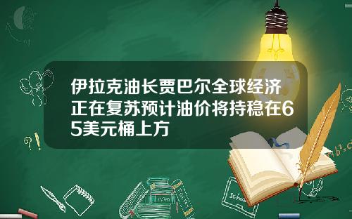 伊拉克油长贾巴尔全球经济正在复苏预计油价将持稳在65美元桶上方