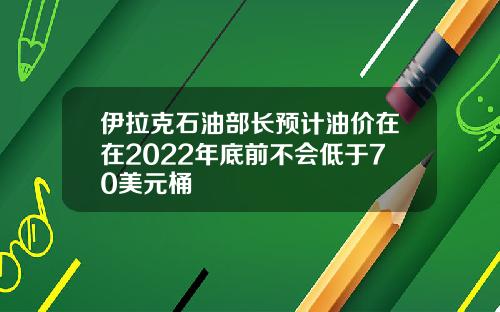 伊拉克石油部长预计油价在在2022年底前不会低于70美元桶