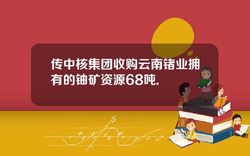 传中核集团收购云南锗业拥有的铀矿资源68吨.