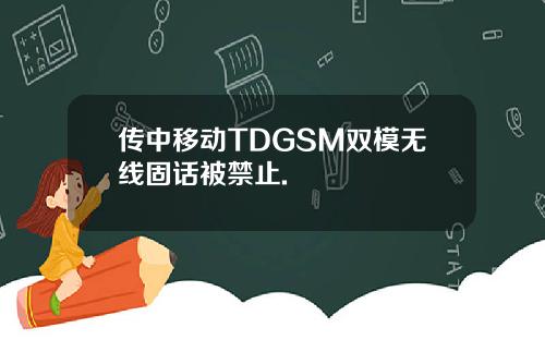 传中移动TDGSM双模无线固话被禁止.