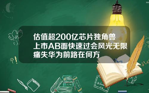 估值超200亿芯片独角兽上市AB面快速过会风光无限痛失华为前路在何方
